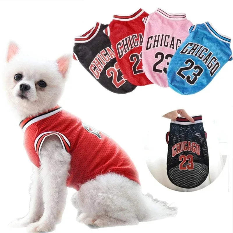 A white dog wearing a red sports jersey with Chicago 23 lettering, alongside several other Chicago 23 themed jerseys.