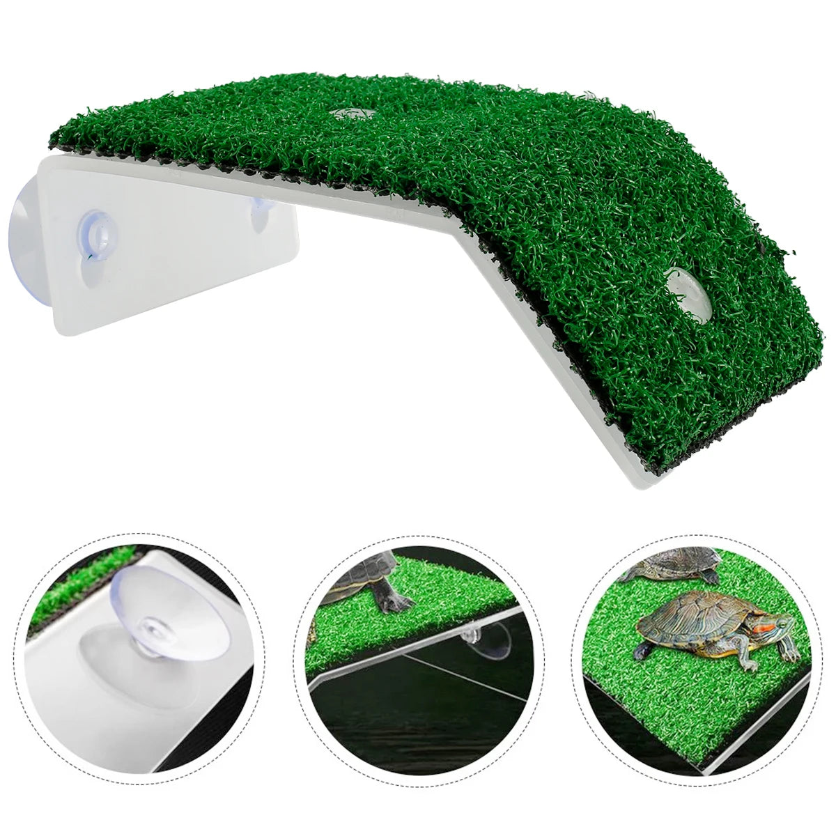 Plateforme de bain blanche avec pelouse verte artificielle pour un habitat de reptile, vue de dessus et en contexte.