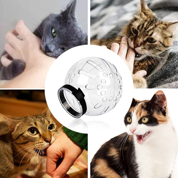 A collage showing a cat wearing a breathable muzzle hood, demonstrating its use for grooming and post-surgery protection.