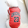 Ein weißer Hund trägt eine rote Chicagoer Sportweste mit der Nummer 23.