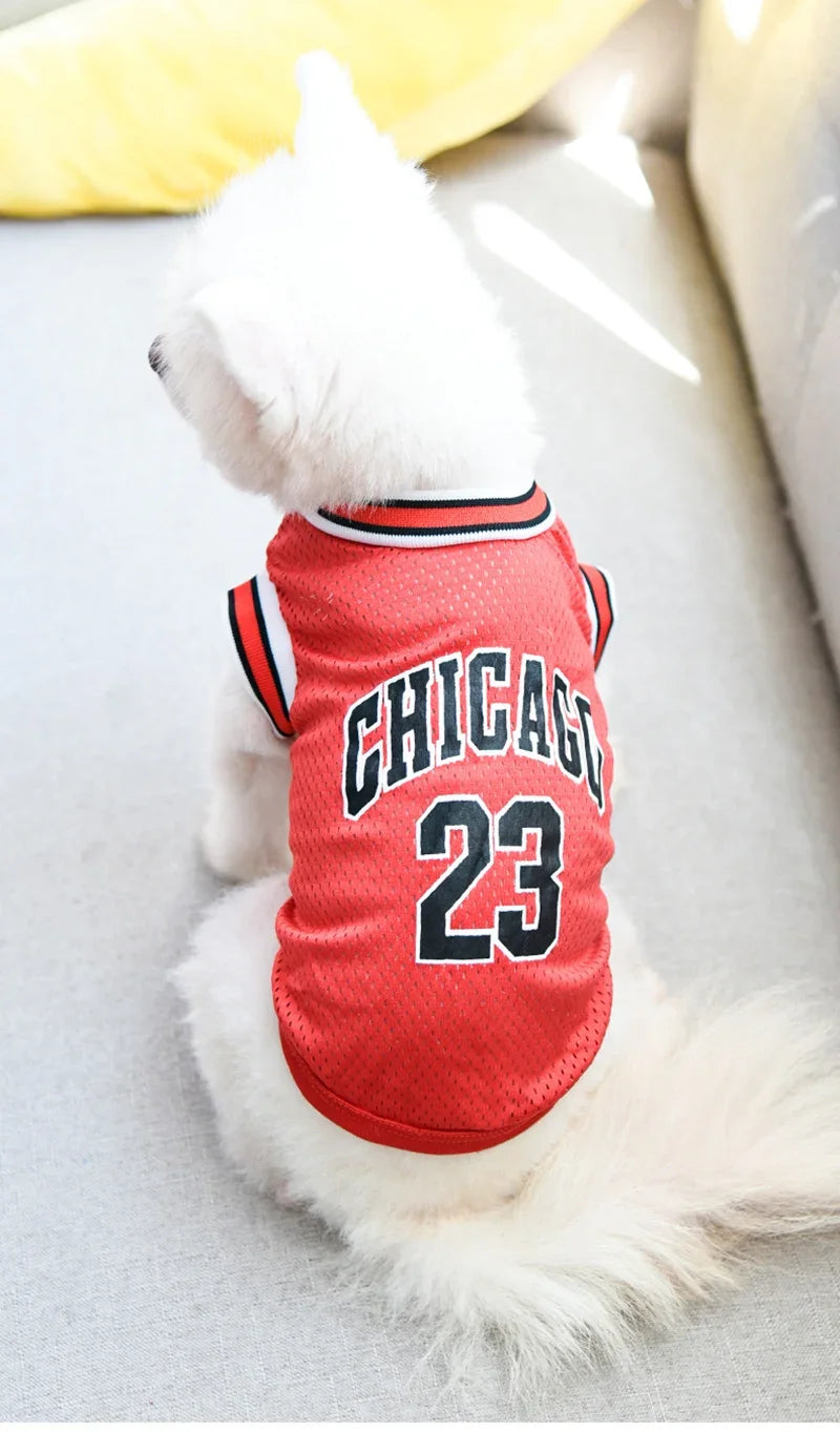 Ein weißer Hund trägt eine rote Chicagoer Sportweste mit der Nummer 23.