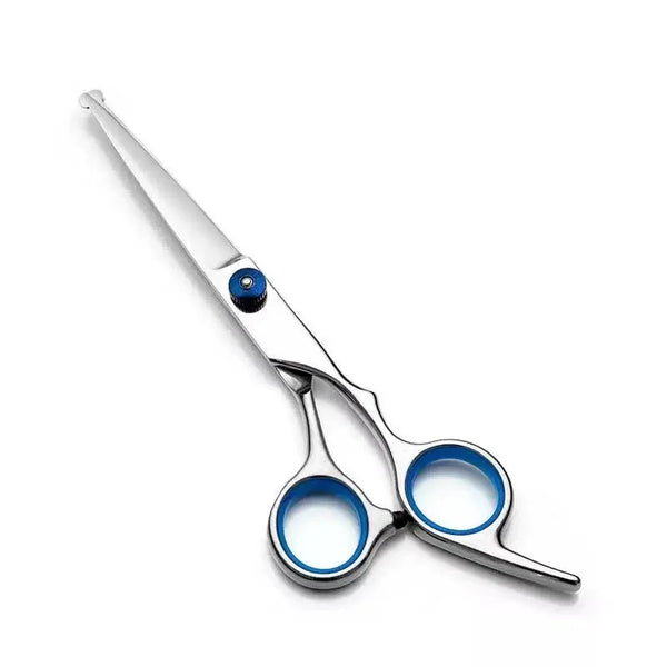 A pair of professional stainless steel pet grooming scissors with silver blades and blue accents.