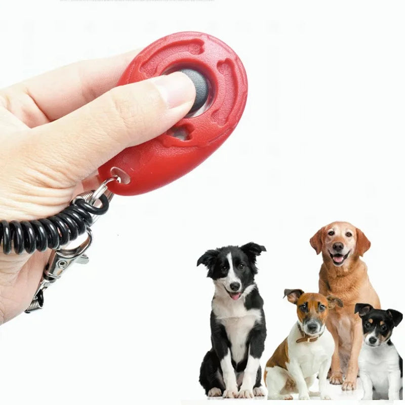 Eine Hand hält einen roten Hundetrainer-Klicker mit Armband an einer Leine, während mehrere Hunde in die Kamera schauen.