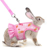 A gray rabbit wearing a pink mesh harness and leash.