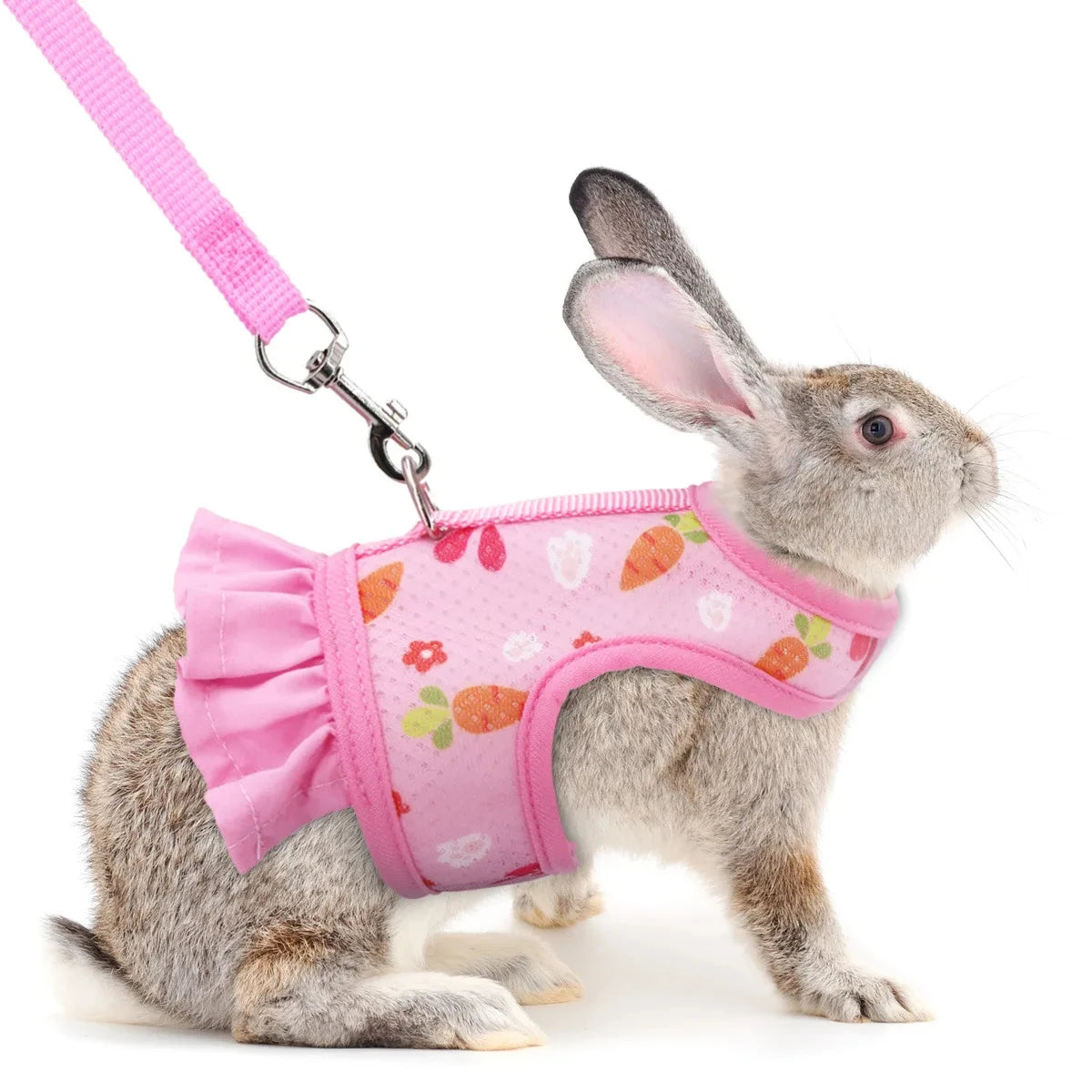 A gray rabbit wearing a pink mesh harness and leash.