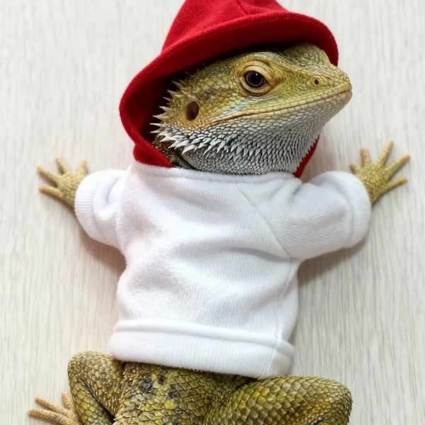 A bearded dragon plush toy wearing a red hat and a white hoodie.