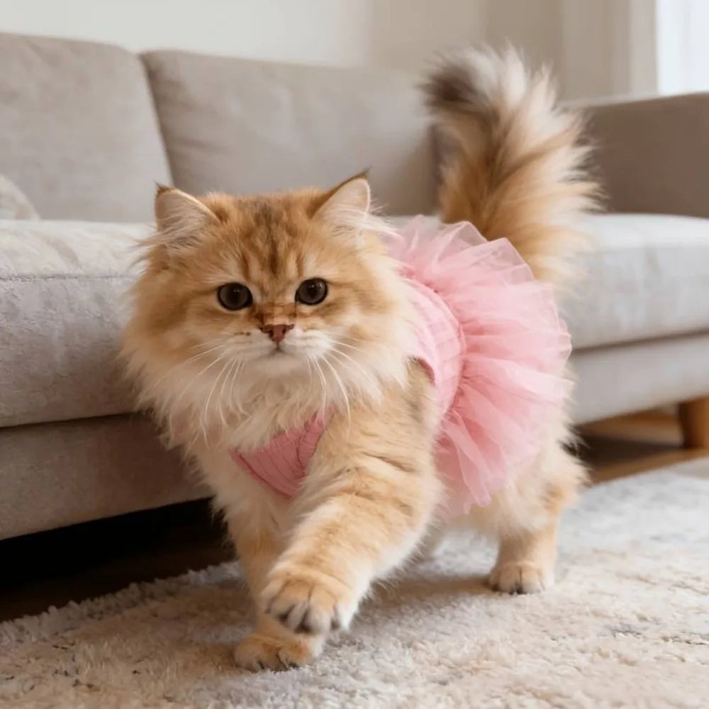 Flauschiger orange Kater in einem rosa Tüllkleid über einem hellen Teppich.