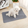 A fluffy white dog is sitting on a gray reusable washable pet training mat next to a potted plant and some books.