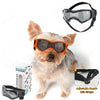A light-colored dog wearing orange sunglasses and a black adjustable head chin strap.
