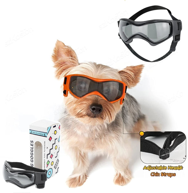 Un perro de color claro vistiendo gafas de sol naranjas y una correa ajustable negra para la cabeza.