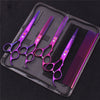 A set of professional stainless steel pet grooming scissors and a grooming comb in purple housed in a black case.