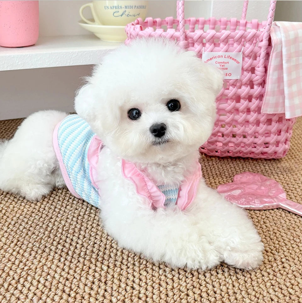 Flauschiger weißer Hund mit pinker Rüschen-Sommer-Tracht, sitzt auf einem geflochtenen Matten.