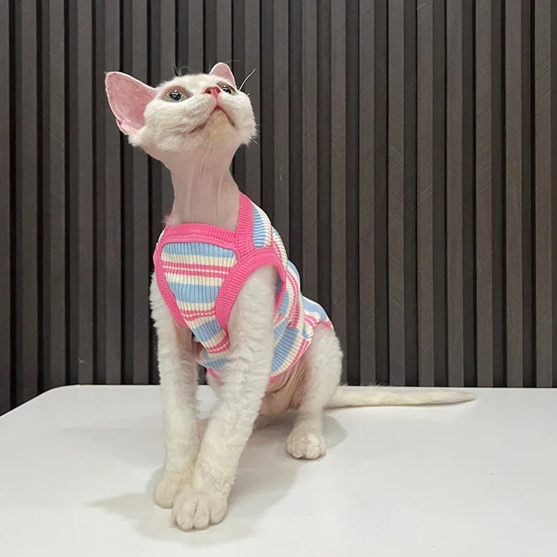 A white cat wearing a pink and blue striped stretchy tank top looking upwards.