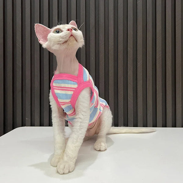 A white cat wearing a pink and blue striped stretchy tank top looking upwards.