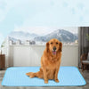 A golden retriever dog lying on a blue cooling pet mat in a modern indoor setting with a mountain view.