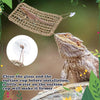 Un lézard repose dans une hamac tissé, avec un gros plan d'un ventouse préparée pour l'installation.