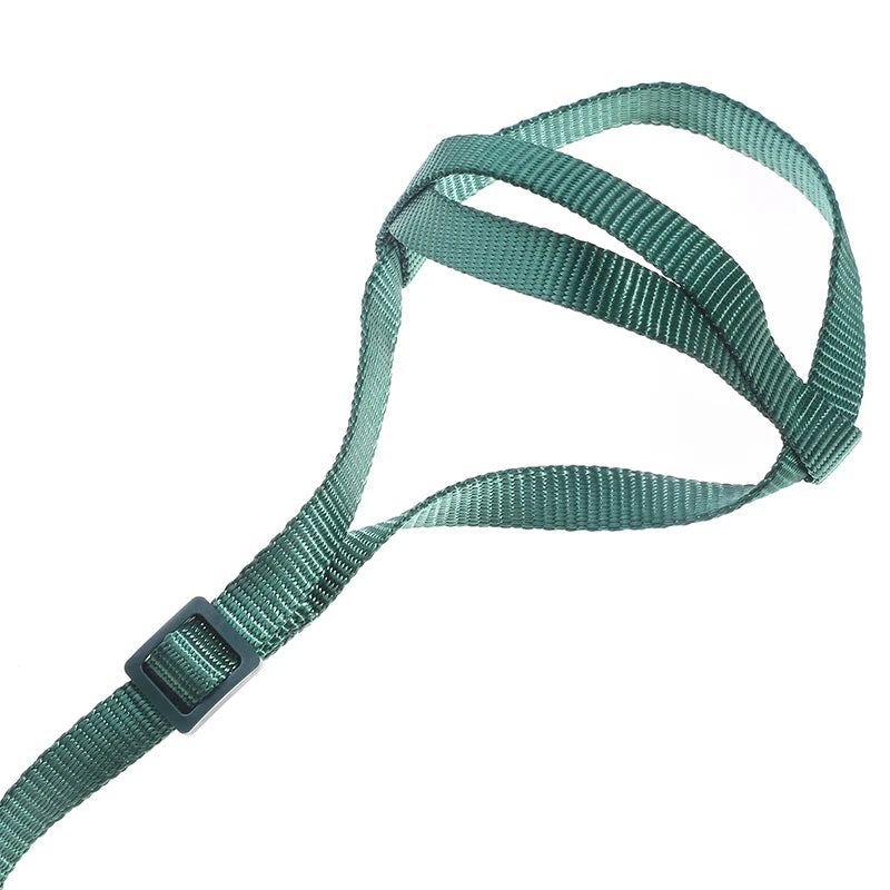A green bird training harness and leash set with a buckle visible.