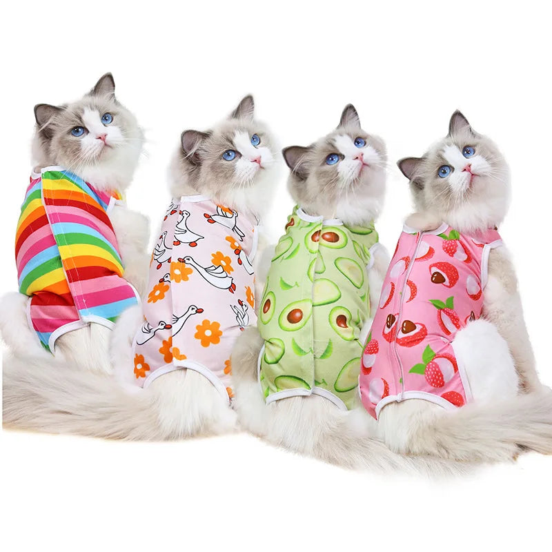 Four fluffy kittens wearing colorful recovery vests for post-surgery protection