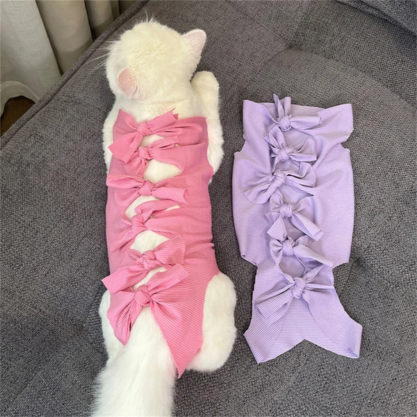A white cat is sitting next to a purple, lacy recovery vest for cats.