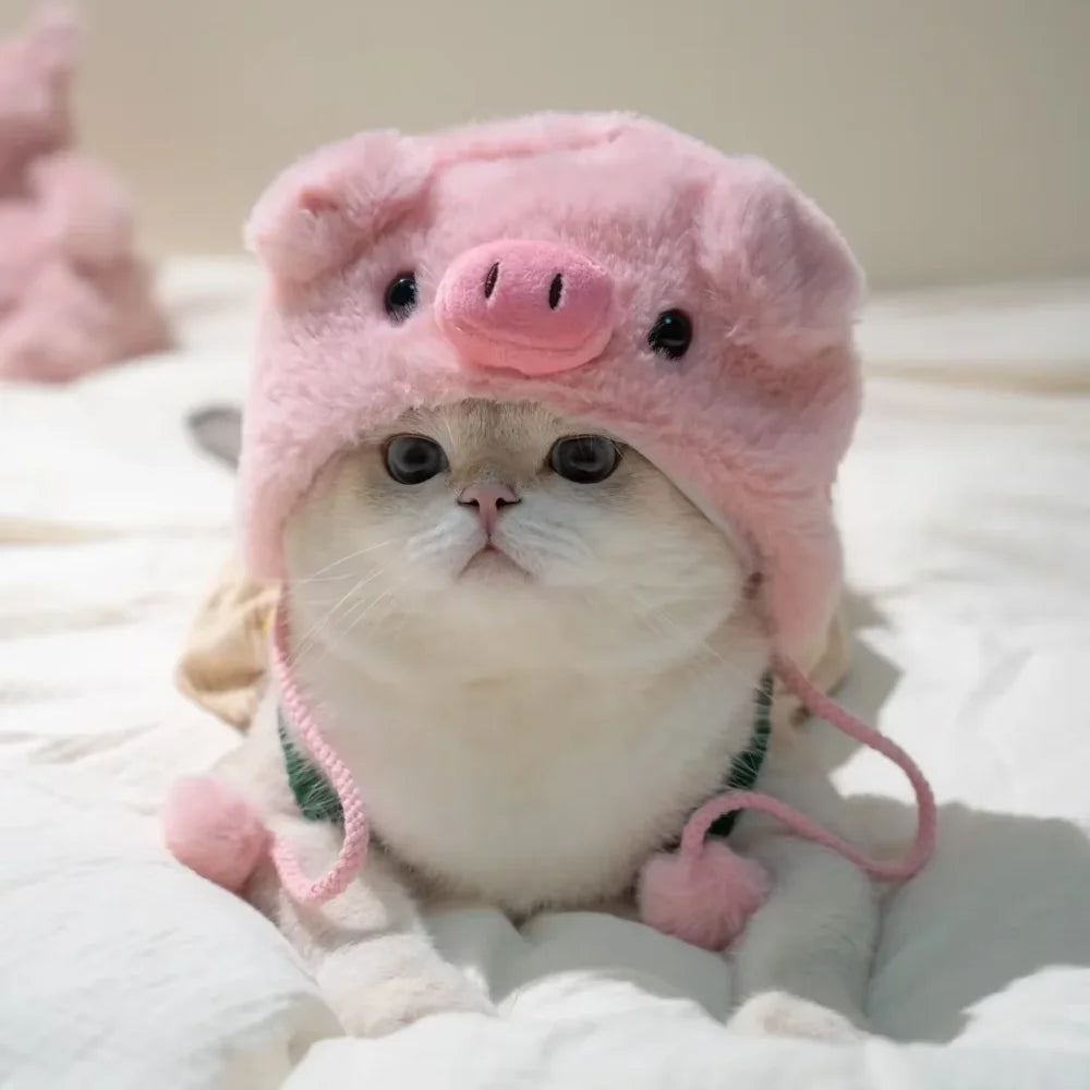 Flauschige rosa Schweine-förmige Mütze, getragen von einer kleinen Katze, die auf weißem Stoff liegt.