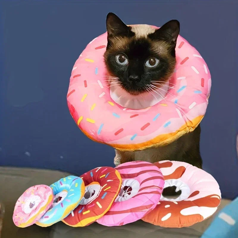 Eine schwarze Katze schaut auf einen rosa elisabethischen Kragen zum Wundschutz, mit mehreren farbenfrohen Varianten darunter