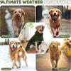 A brown dog wearing a green waterproof coat running outdoors in various weather conditions.
