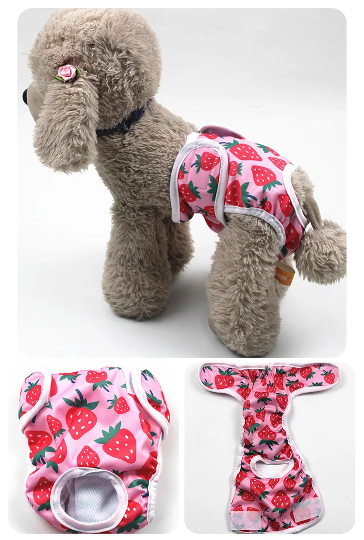 A fluffy dog wearing a pink and red reusable female physiological panty.