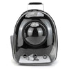 A black transparent pet carrier backpack with a handle and drainage holes.