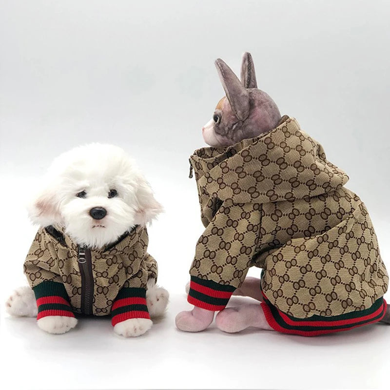 A small gray dog wearing a patterned brown jacket and a cat wearing a matching patterned brown jacket.