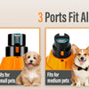 Three orange and black dog nail grinders fit small, medium, and large dogs.
