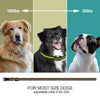 Adjustable dog training collar shown with size comparison markers for 100lbs to 20lbs dogs