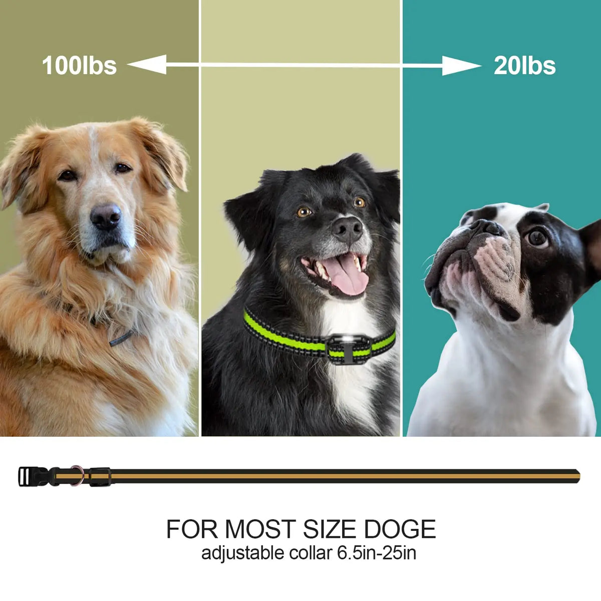 Adjustable dog training collar shown with size comparison markers for 100lbs to 20lbs dogs