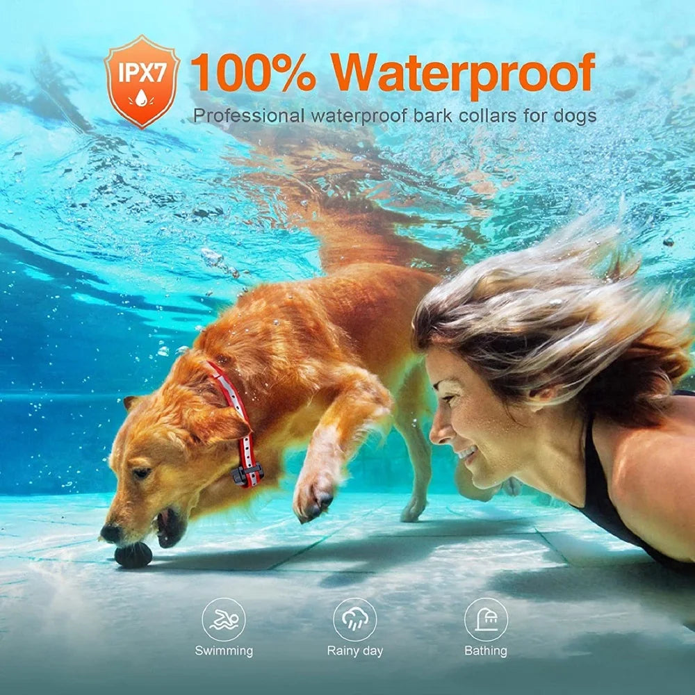 Une femme entraîne un chien avec un collier de promener étanche dans l'eau, démontrant son utilisation pour nager et se baign