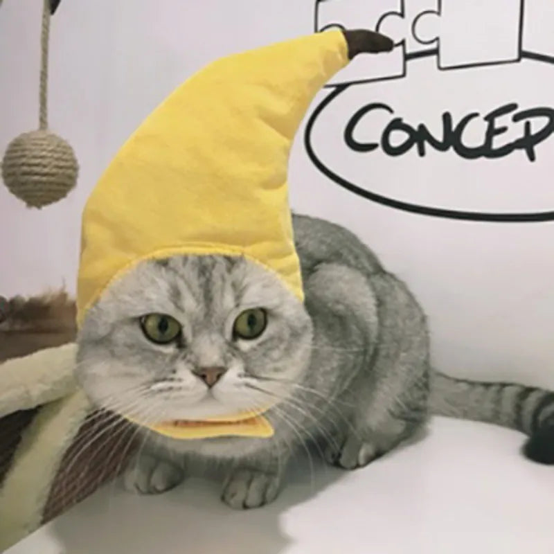 A gray cat wearing a yellow banana cap costume sitting on a white surface.