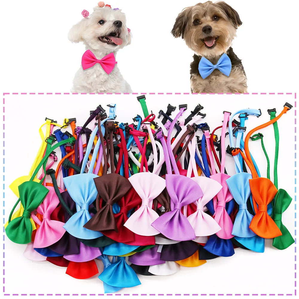 A collection of colorful adjustable pet bow ties for dogs and cats, including pink, blue, orange, and green.