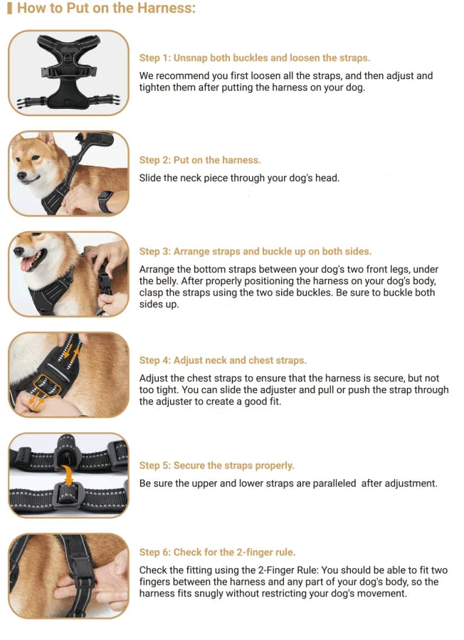 Step-by-step instructions showing how to put on and adjust an adjustable dog harness.
