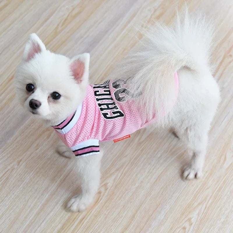 Ein weißer Hund trägt eine rosa Hundeweste mit schwarzer Beschriftung auf einem hellen Holzfußboden.