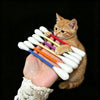 A small orange tabby cat is holding a bundle of colorful cotton swabs, which are likely catnip toys.