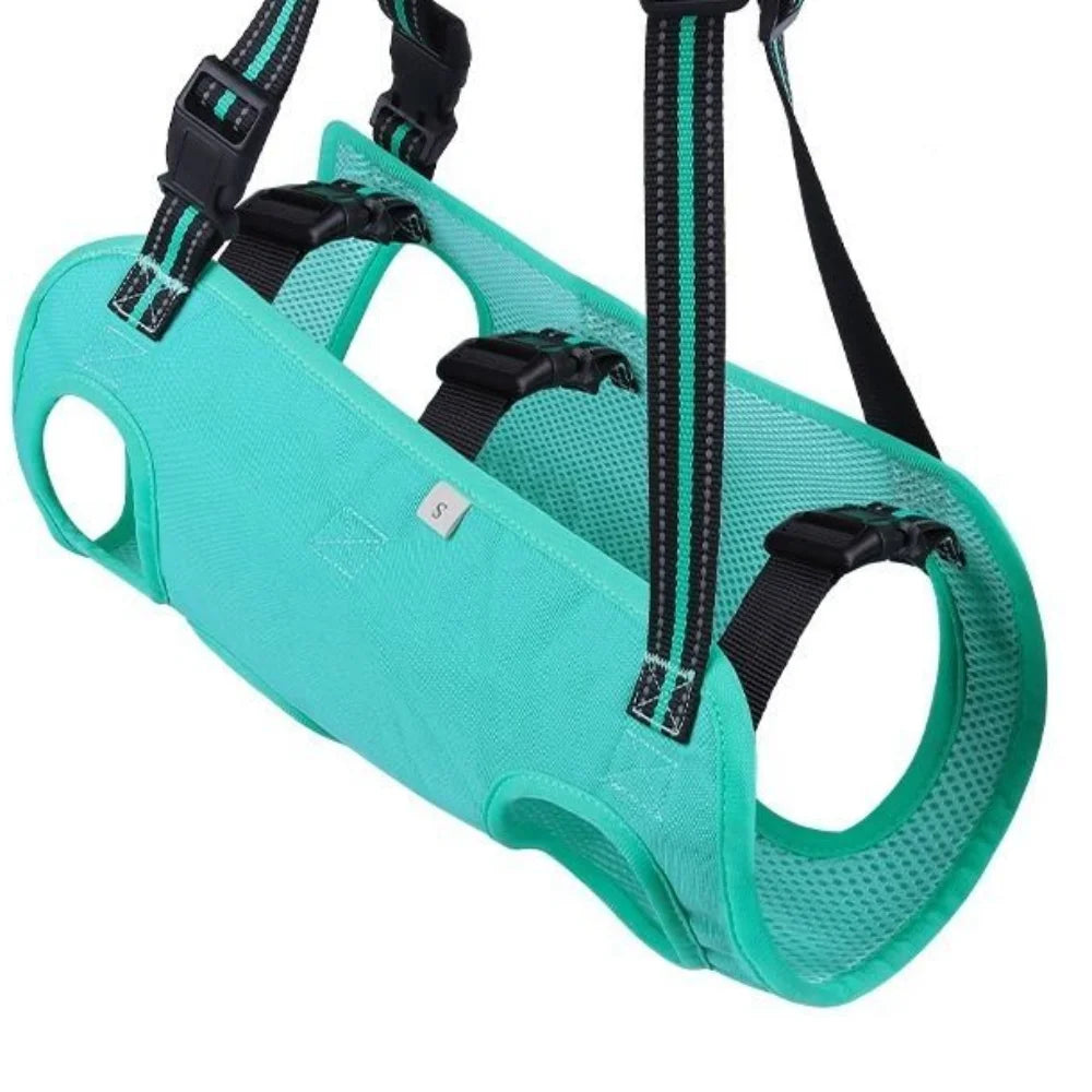 Arnés ajustable para mascotas color verde azulado con correas negras y asa de transporte.