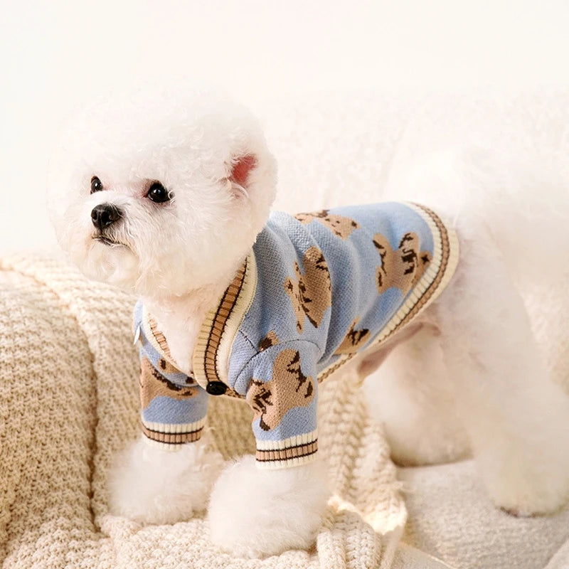 A white dog wearing a blue knit sweater with a bear pattern, sitting on a textured surface.