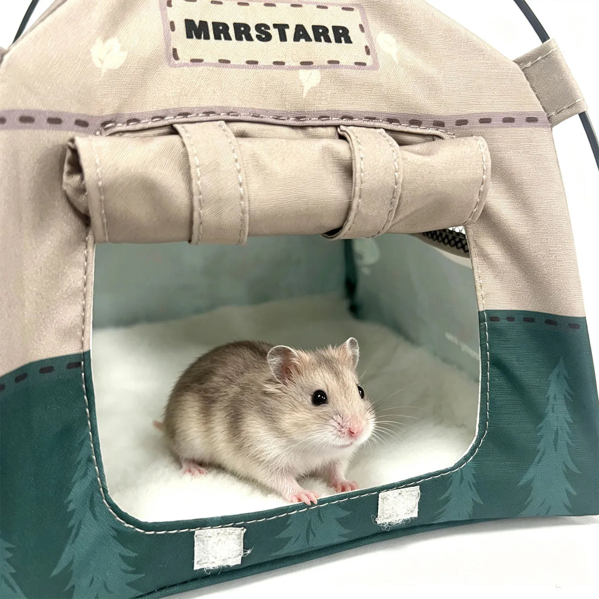 A small brown mouse is visible inside a beige mesh pet tent with a clear window.