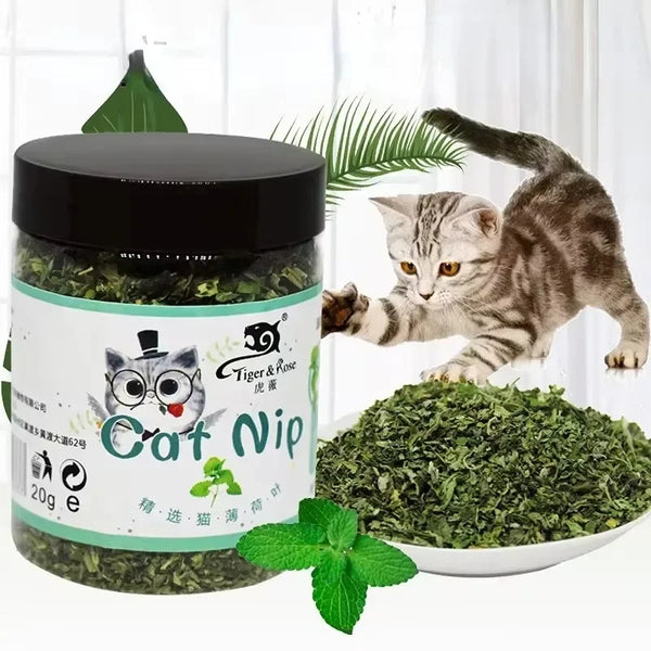 A jar of Cat Nip product next to a cat playing with the plant and loose green leaves.