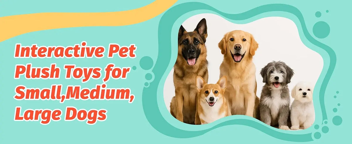 A collection of various dog breeds, including a German Shepherd, Golden Retriever, and small mixed-breed dogs, positioned wit