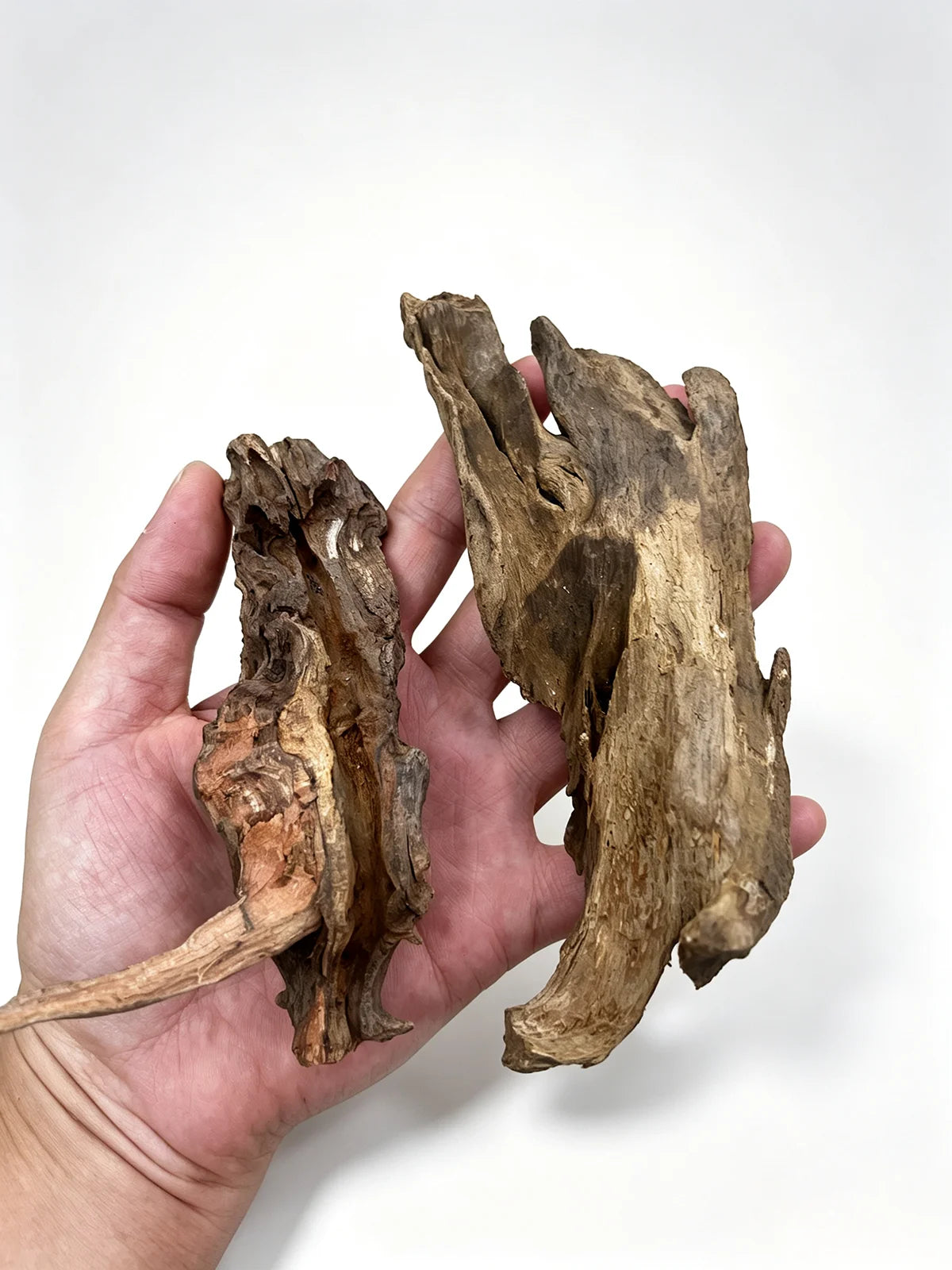 Eine Hand hält ein Stück Natur-Driftwood zur Dekoration für Aquarium und Terrarium.