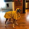 Un perro con un impermeable amarillo y capucha está de pie en un suelo de madera.