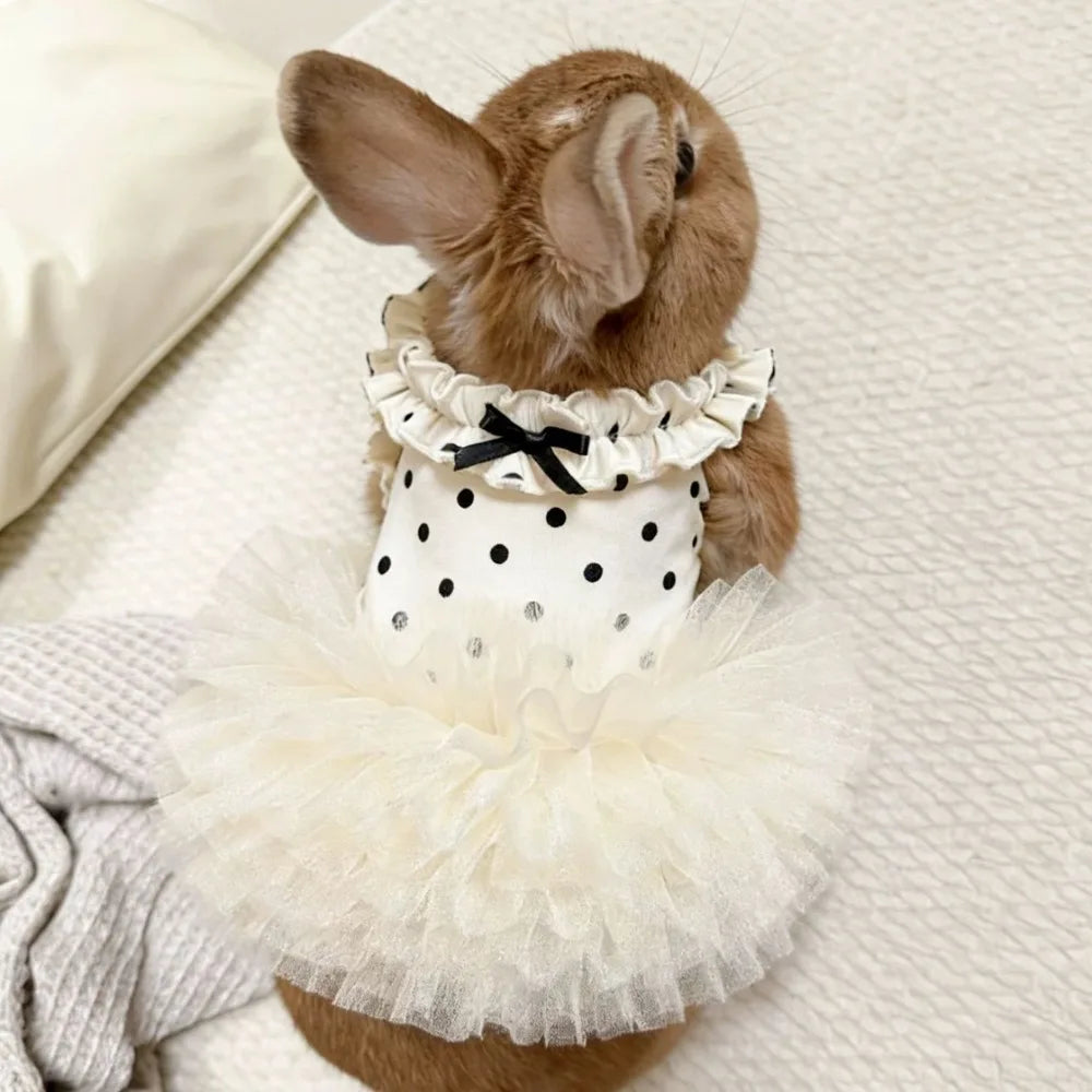 Brauner Hase in einem weißen Rüschenkleid mit schwarzen Polka Dots und einem durchsichtigen weißen Tüllrock.