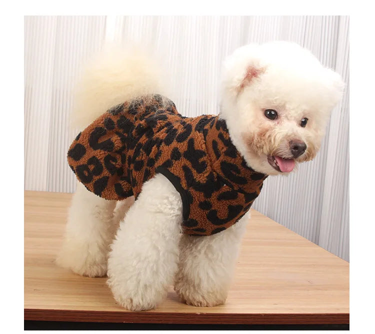 A fluffy white dog wearing a leopard print princess dress sitting on a wooden surface.