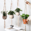 Macrame plant hangers displaying various green plants hanging from macrame cords on a white wall