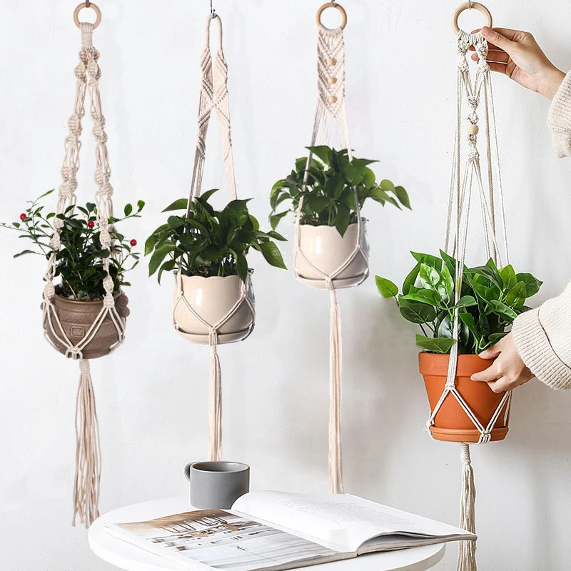 Macrame plant hangers displaying various green plants hanging from macrame cords on a white wall