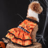 A small dog wearing an orange pumpkin lace dress costume against a dark background.